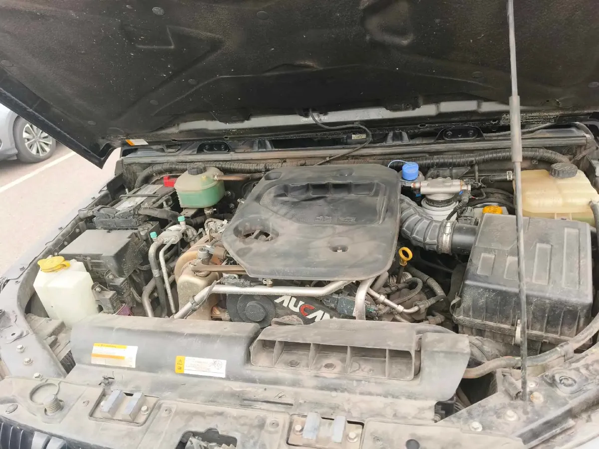 2021 Beijing BJ40 2.0T 163HP L4 8AT,autocango,china used car exporter,china ev exporter,chinese used car exporter,chinese used ev exporter