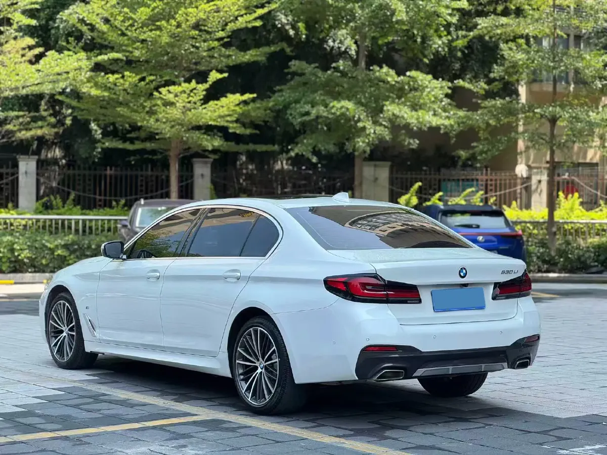 2021 BMW 5 Series 2.0T 252HP L4 8AT,autocango,china used car exporter,china ev exporter,chinese used car exporter,chinese used ev exporter