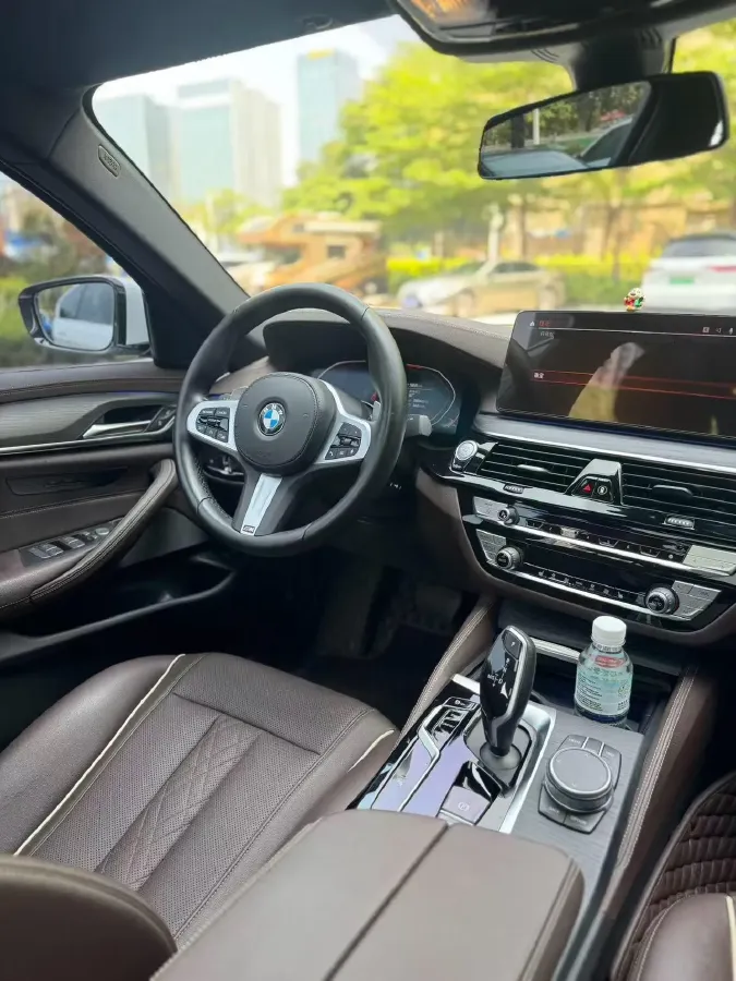 2021 BMW 5 Series 2.0T 252HP L4 8AT,autocango,china used car exporter,china ev exporter,chinese used car exporter,chinese used ev exporter