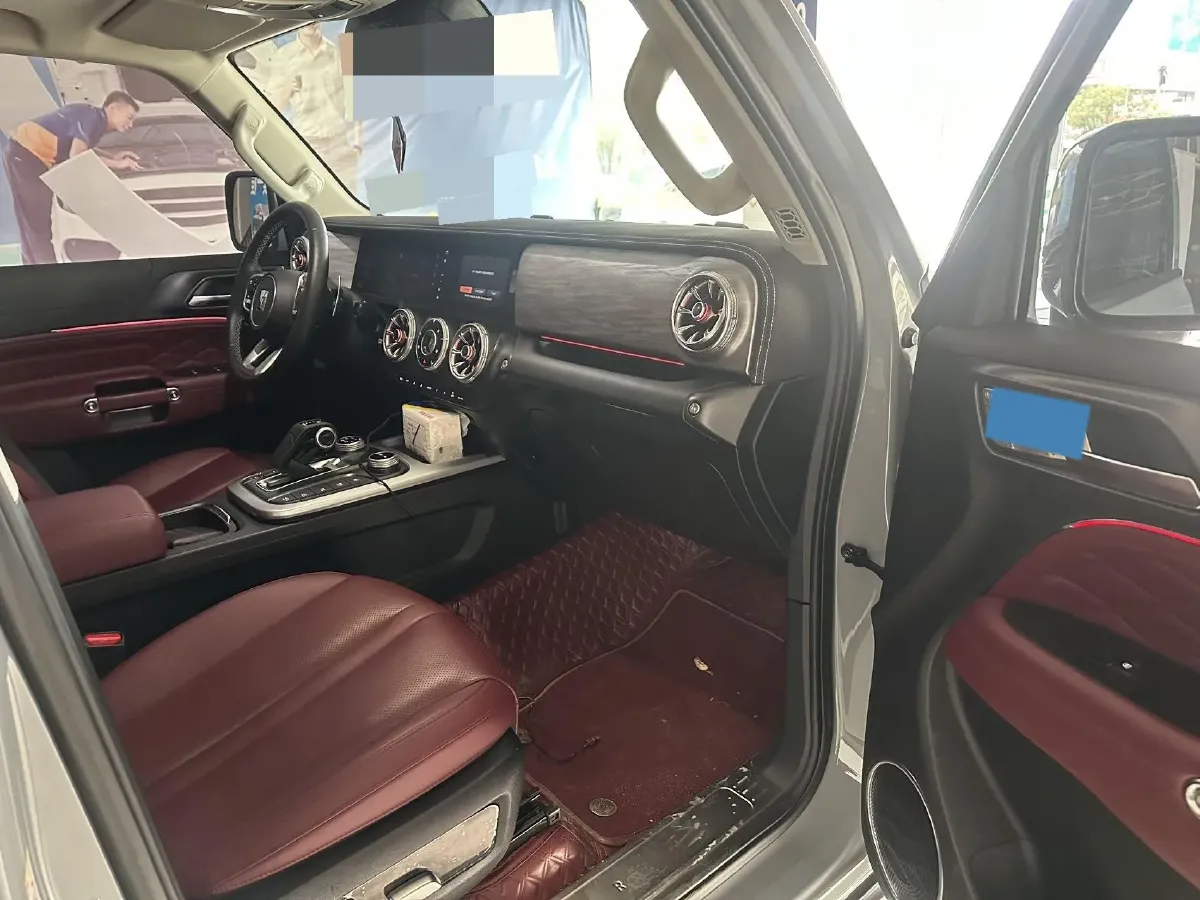 2024 Tank 300 2.0T 252HP L4 9AT,autocango,china used car exporter,china ev exporter,chinese used car exporter,chinese used ev exporter