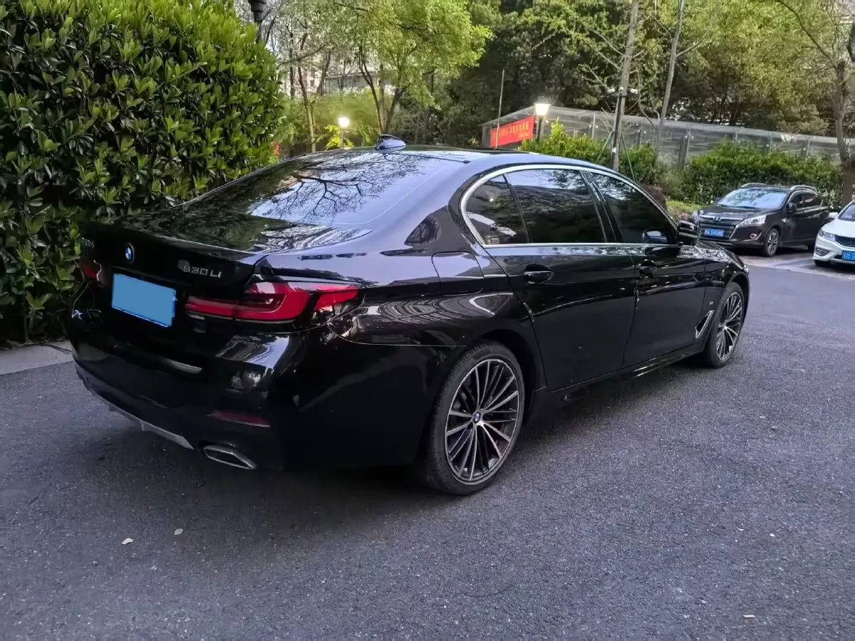 2021 BMW 5 Series 2.0T 252HP L4 8AT,autocango,china used car exporter,china ev exporter,chinese used car exporter,chinese used ev exporter