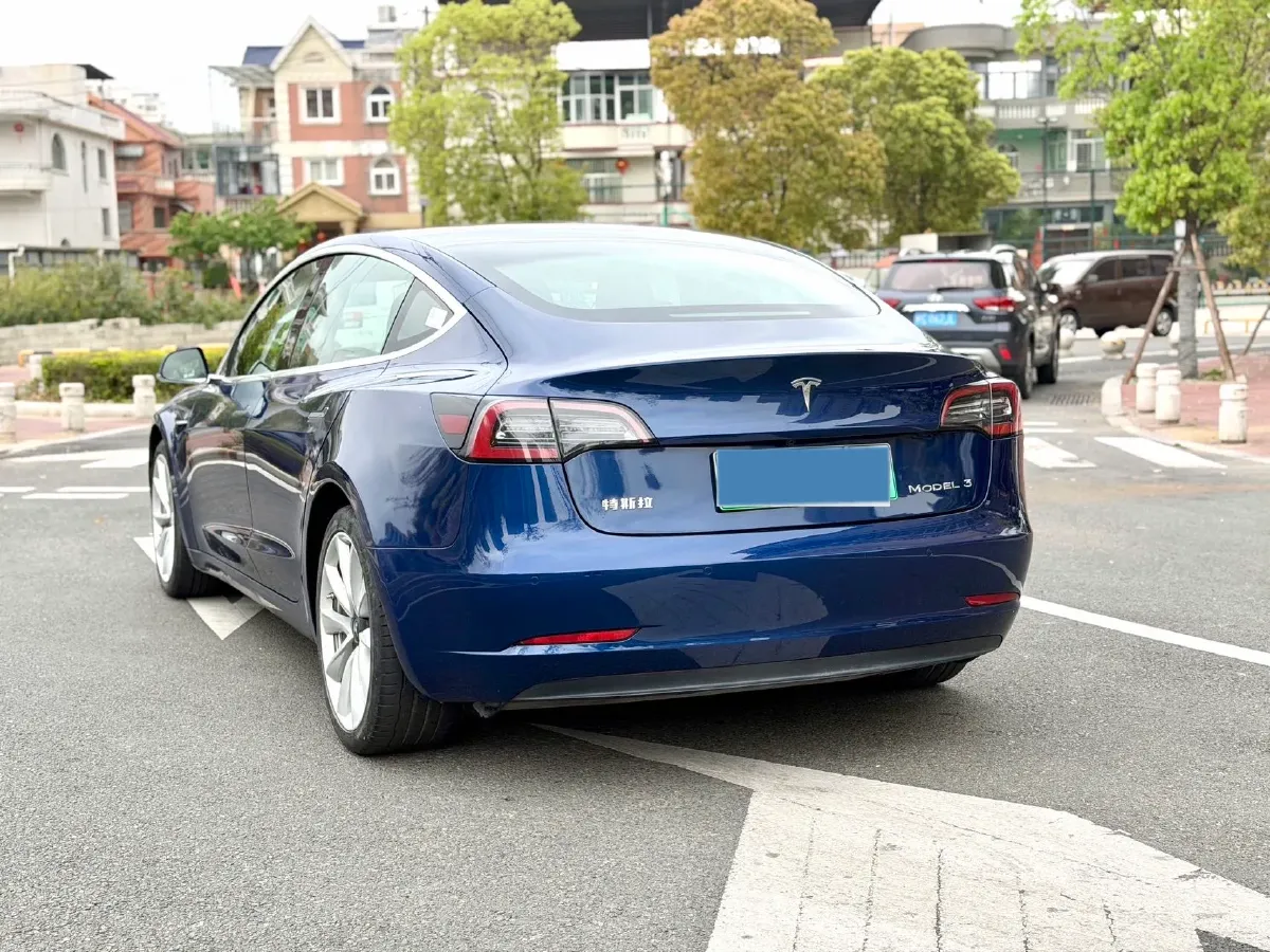 2021 Tesla Model 3 BEV 55KWH,autocango,china used car exporter,china ev exporter,chinese used car exporter,chinese used ev exporter