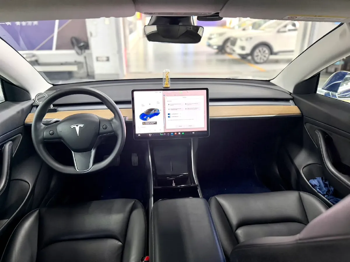 2021 Tesla Model 3 BEV 55KWH,autocango,china used car exporter,china ev exporter,chinese used car exporter,chinese used ev exporter