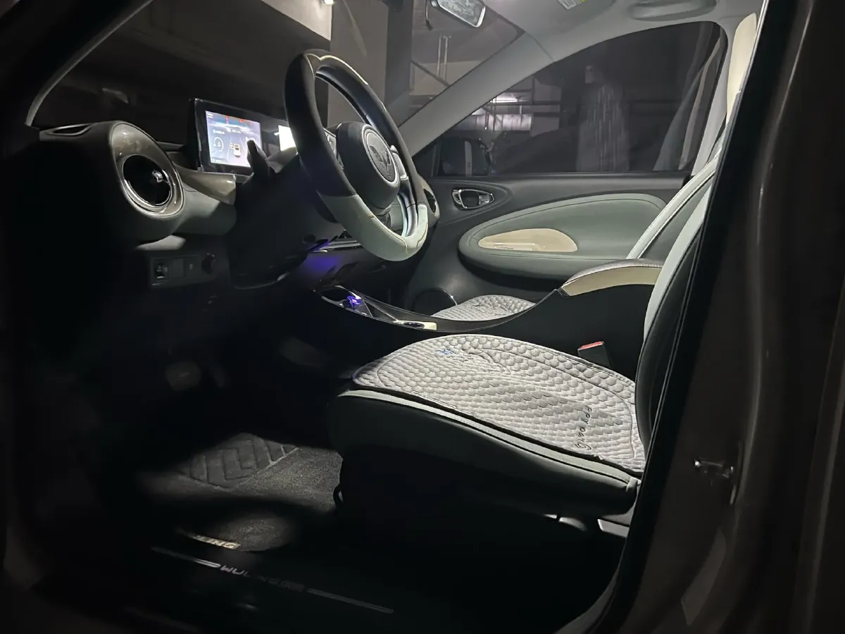 2024 WuLing BinGuo BEV 31.9KWH,autocango,china used car exporter,china ev exporter,chinese used car exporter,chinese used ev exporter