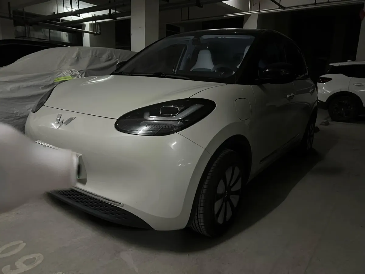 2024 WuLing BinGuo BEV 31.9KWH,autocango,china used car exporter,china ev exporter,chinese used car exporter,chinese used ev exporter