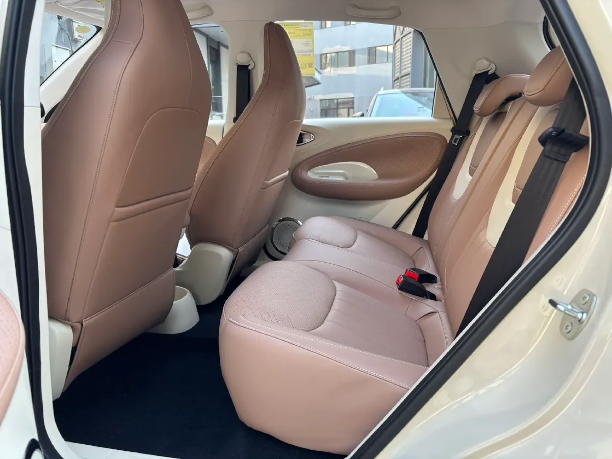 2024 WuLing BinGuo BEV 31.9KWH,autocango,china used car exporter,china ev exporter,chinese used car exporter,chinese used ev exporter