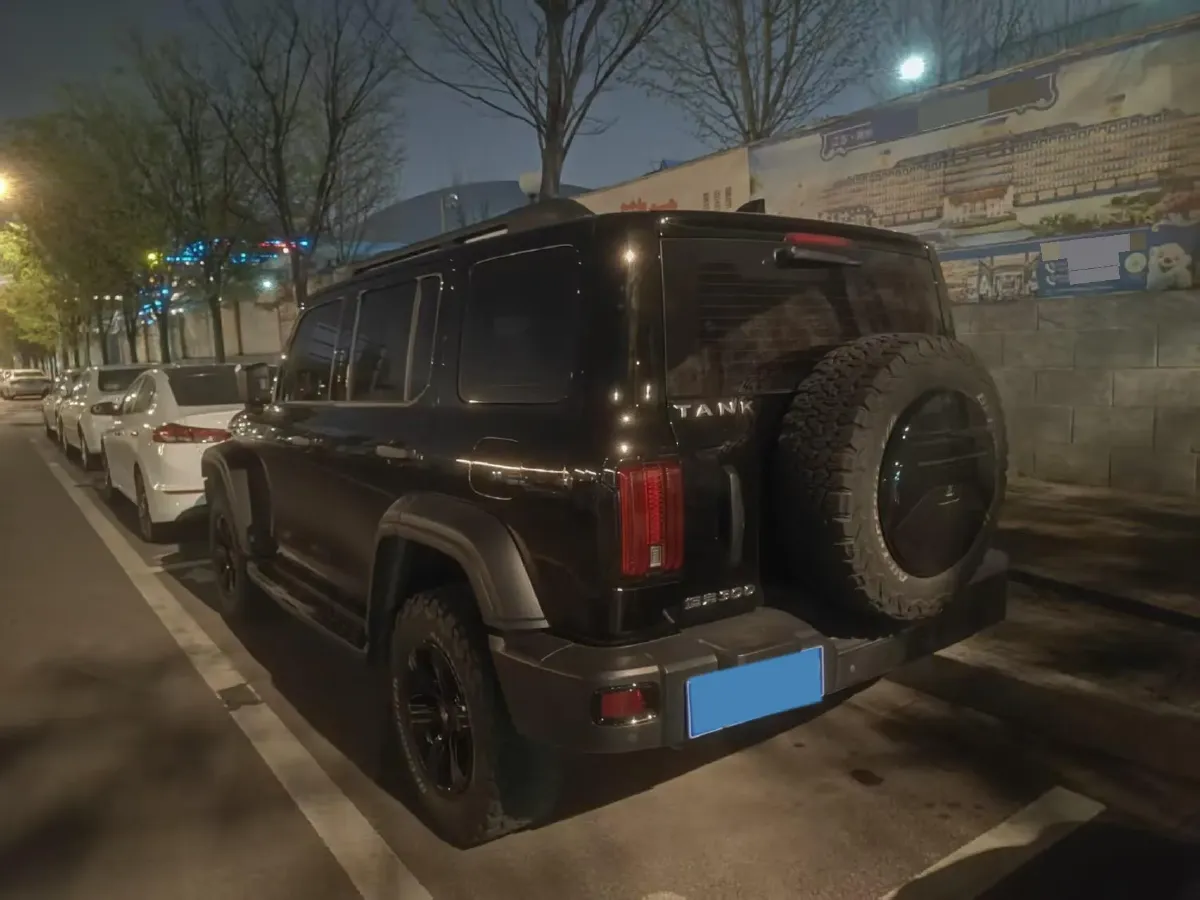 2021 Tank 300 2.0T 227HP L4 8AT,autocango,china used car exporter,china ev exporter,chinese used car exporter,chinese used ev exporter