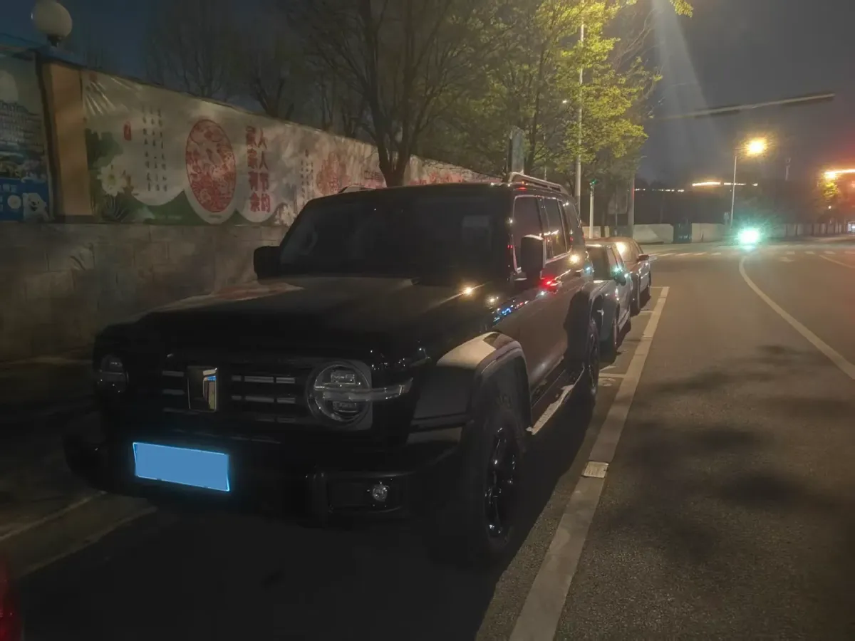 2021 Tank 300 2.0T 227HP L4 8AT,autocango,china used car exporter,china ev exporter,chinese used car exporter,chinese used ev exporter