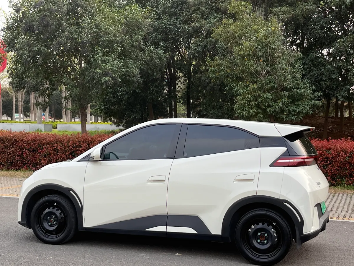 2024 BYD Seagull BEV 30.08KWH,autocango,china used car exporter,china ev exporter,chinese used car exporter,chinese used ev exporter