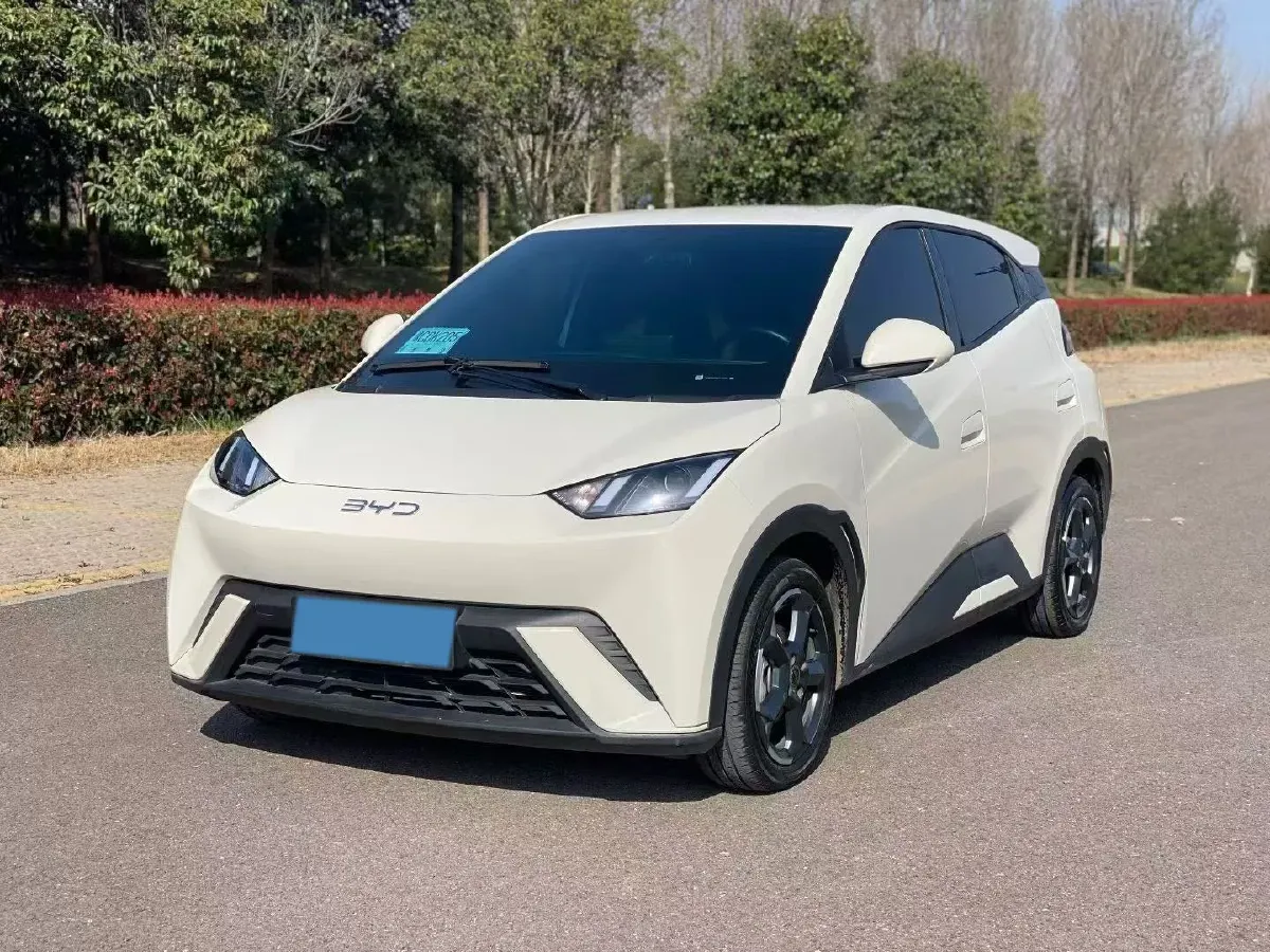 2024 BYD Seagull BEV 30.08KWH,autocango,china used car exporter,china ev exporter,chinese used car exporter,chinese used ev exporter