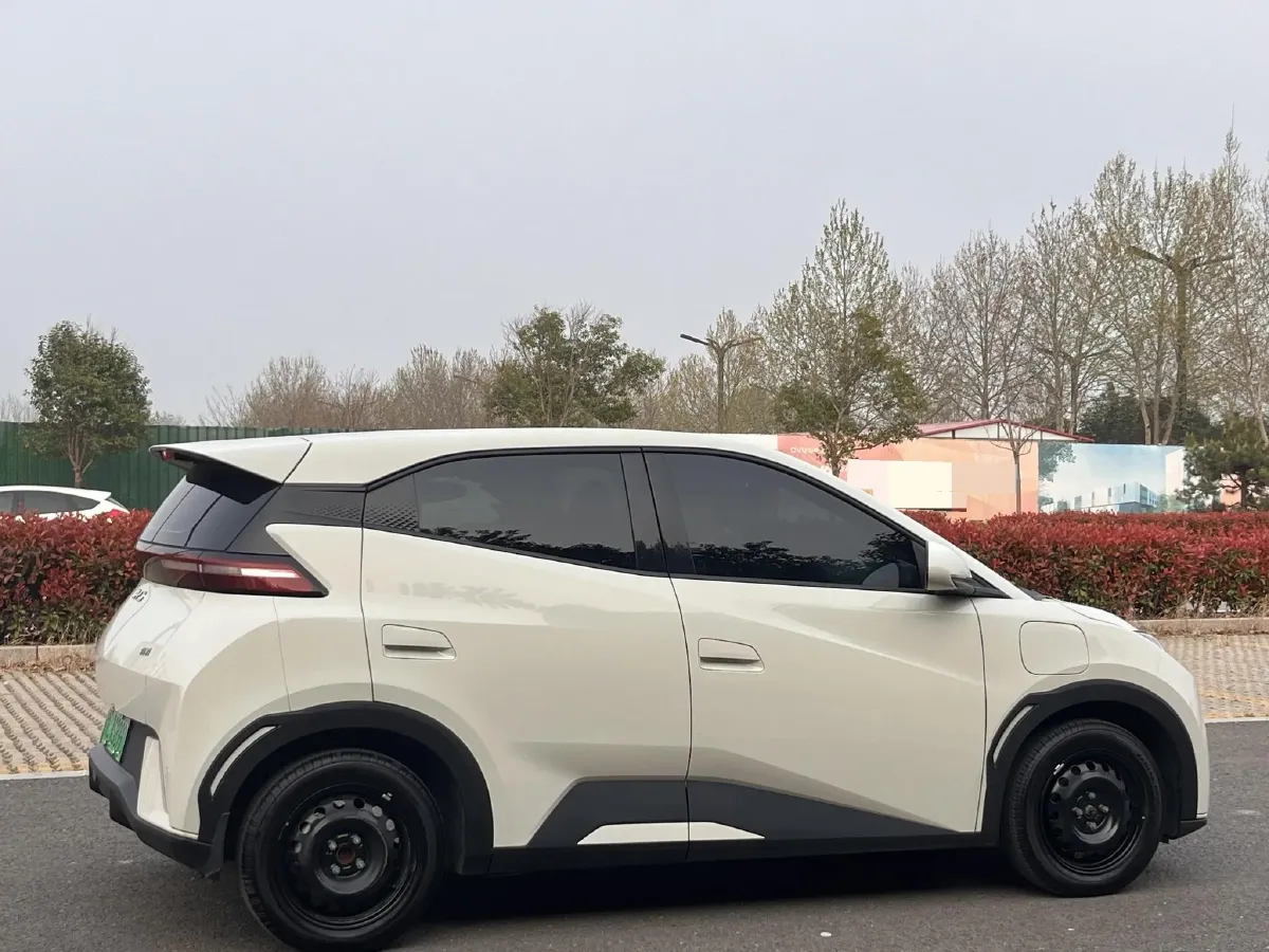 2024 BYD Seagull BEV 30.08KWH,autocango,china used car exporter,china ev exporter,chinese used car exporter,chinese used ev exporter