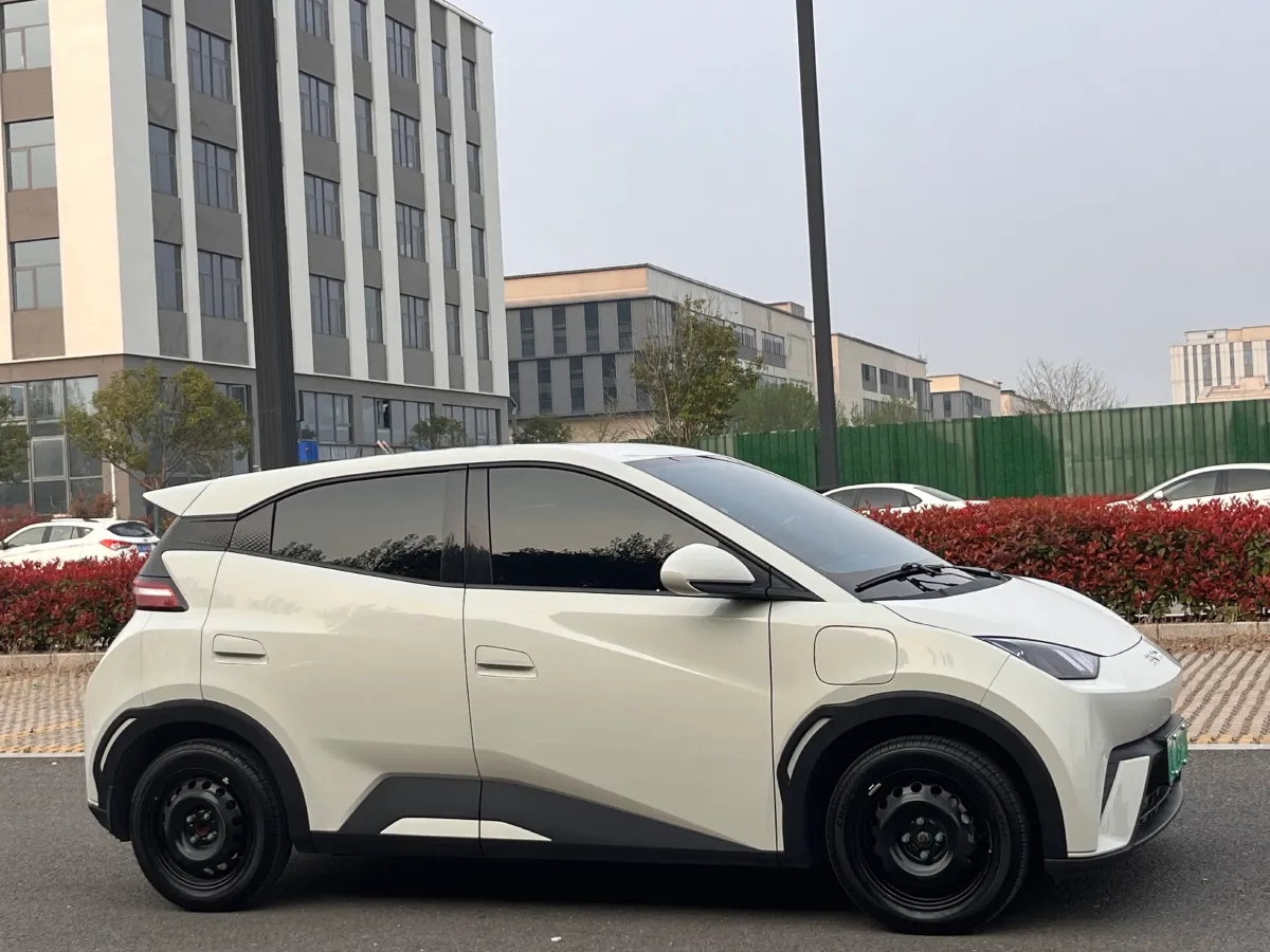 2024 BYD Seagull BEV 30.08KWH,autocango,china used car exporter,china ev exporter,chinese used car exporter,chinese used ev exporter