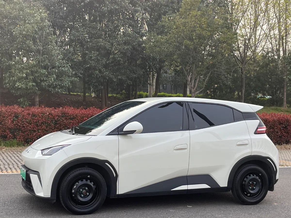 2024 BYD Seagull BEV 30.08KWH,autocango,china used car exporter,china ev exporter,chinese used car exporter,chinese used ev exporter