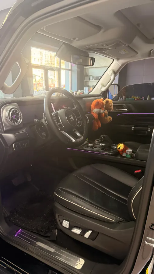 2024 Tank 300 2.0T 252HP L4 9AT,autocango,china used car exporter,china ev exporter,chinese used car exporter,chinese used ev exporter