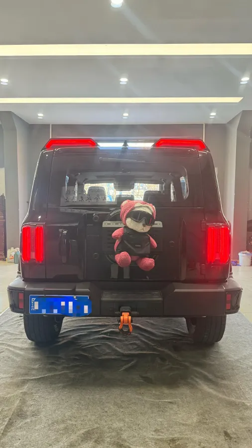 2024 Tank 300 2.0T 252HP L4 9AT,autocango,china used car exporter,china ev exporter,chinese used car exporter,chinese used ev exporter