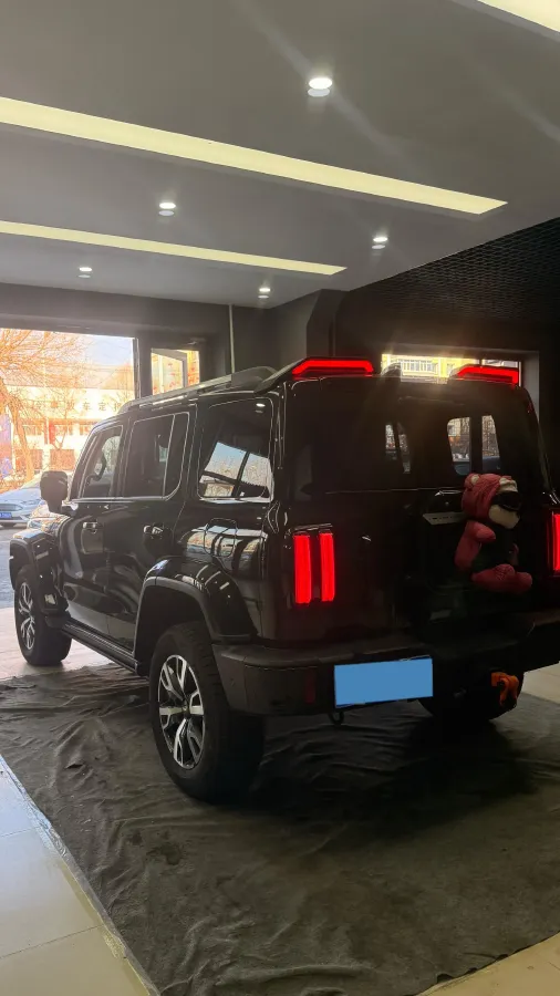 2024 Tank 300 2.0T 252HP L4 9AT,autocango,china used car exporter,china ev exporter,chinese used car exporter,chinese used ev exporter