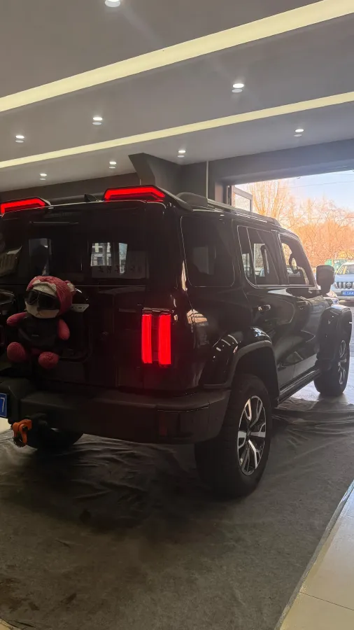 2024 Tank 300 2.0T 252HP L4 9AT,autocango,china used car exporter,china ev exporter,chinese used car exporter,chinese used ev exporter