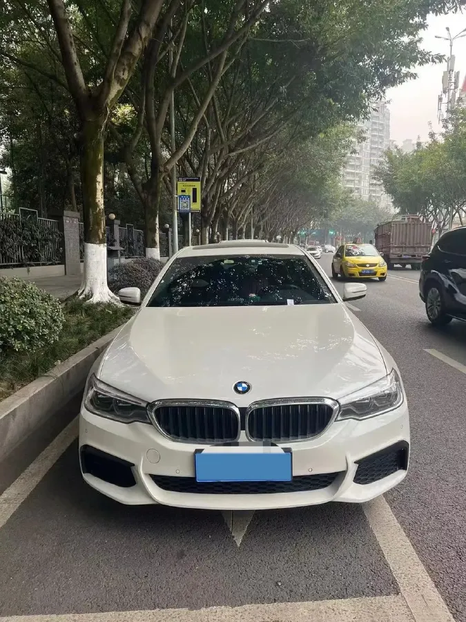 2020 BMW 5 Series 2.0T 252HP L4 8AT,autocango,china used car exporter,china ev exporter,chinese used car exporter,chinese used ev exporter