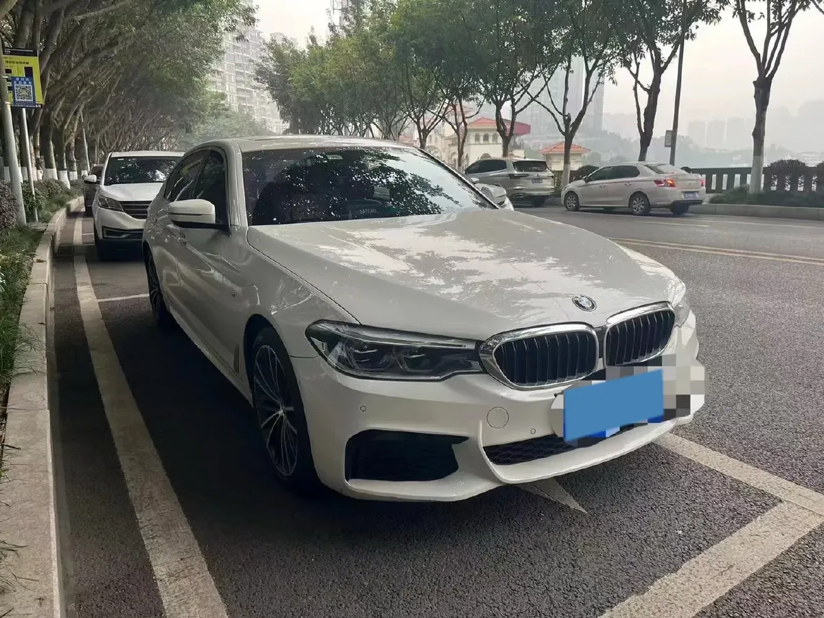 2020 BMW 5 Series 2.0T 252HP L4 8AT,autocango,china used car exporter,china ev exporter,chinese used car exporter,chinese used ev exporter