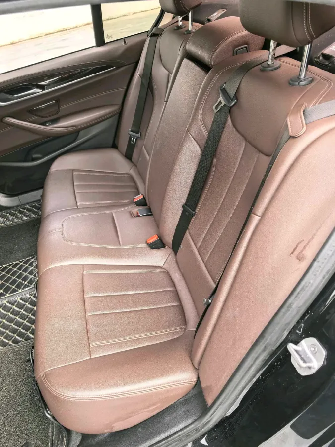 2020 BMW 5 Series 2.0T 184HP L4 8AT,autocango,china used car exporter,china ev exporter,chinese used car exporter,chinese used ev exporter