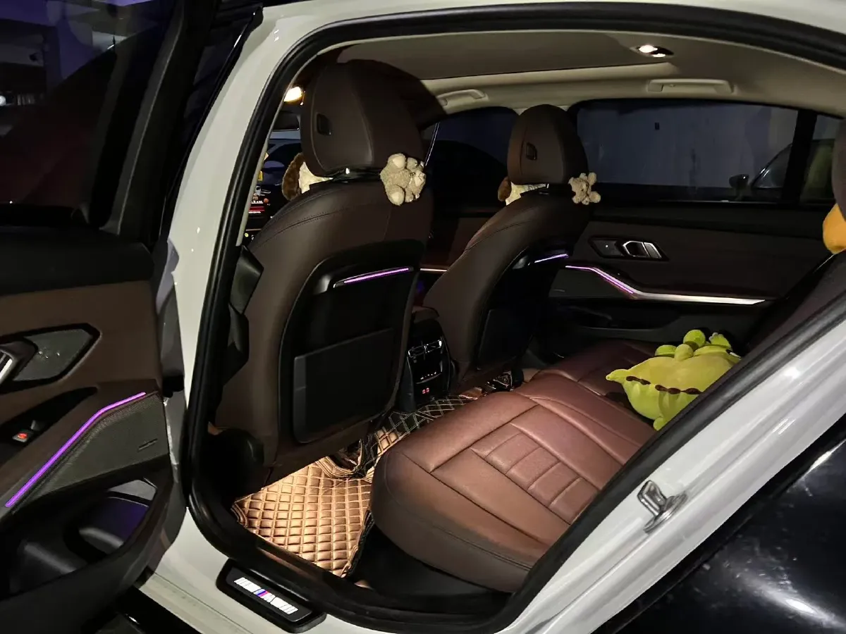 2020 BMW 3 Series 2.0T 184HP L4 8AT,autocango,china used car exporter,china ev exporter,chinese used car exporter,chinese used ev exporter