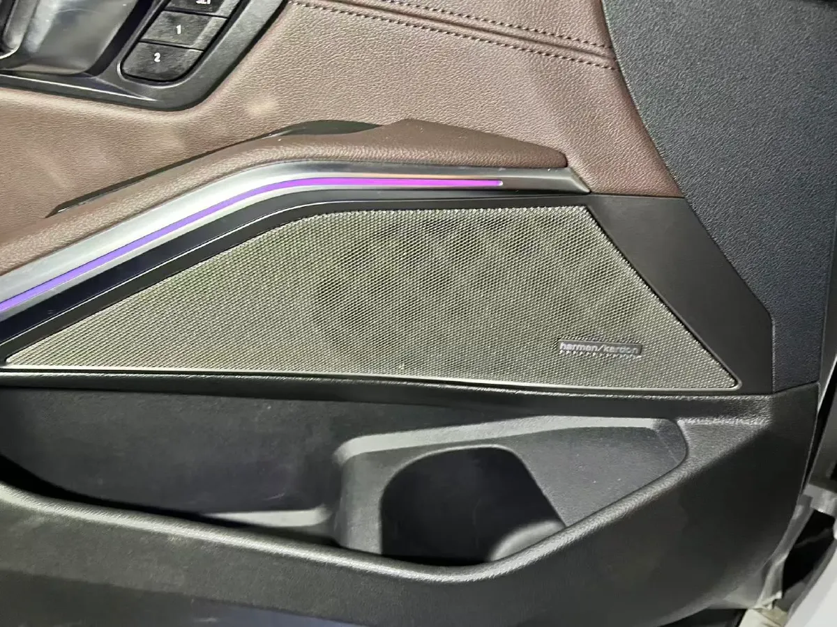 2020 BMW 3 Series 2.0T 184HP L4 8AT,autocango,china used car exporter,china ev exporter,chinese used car exporter,chinese used ev exporter