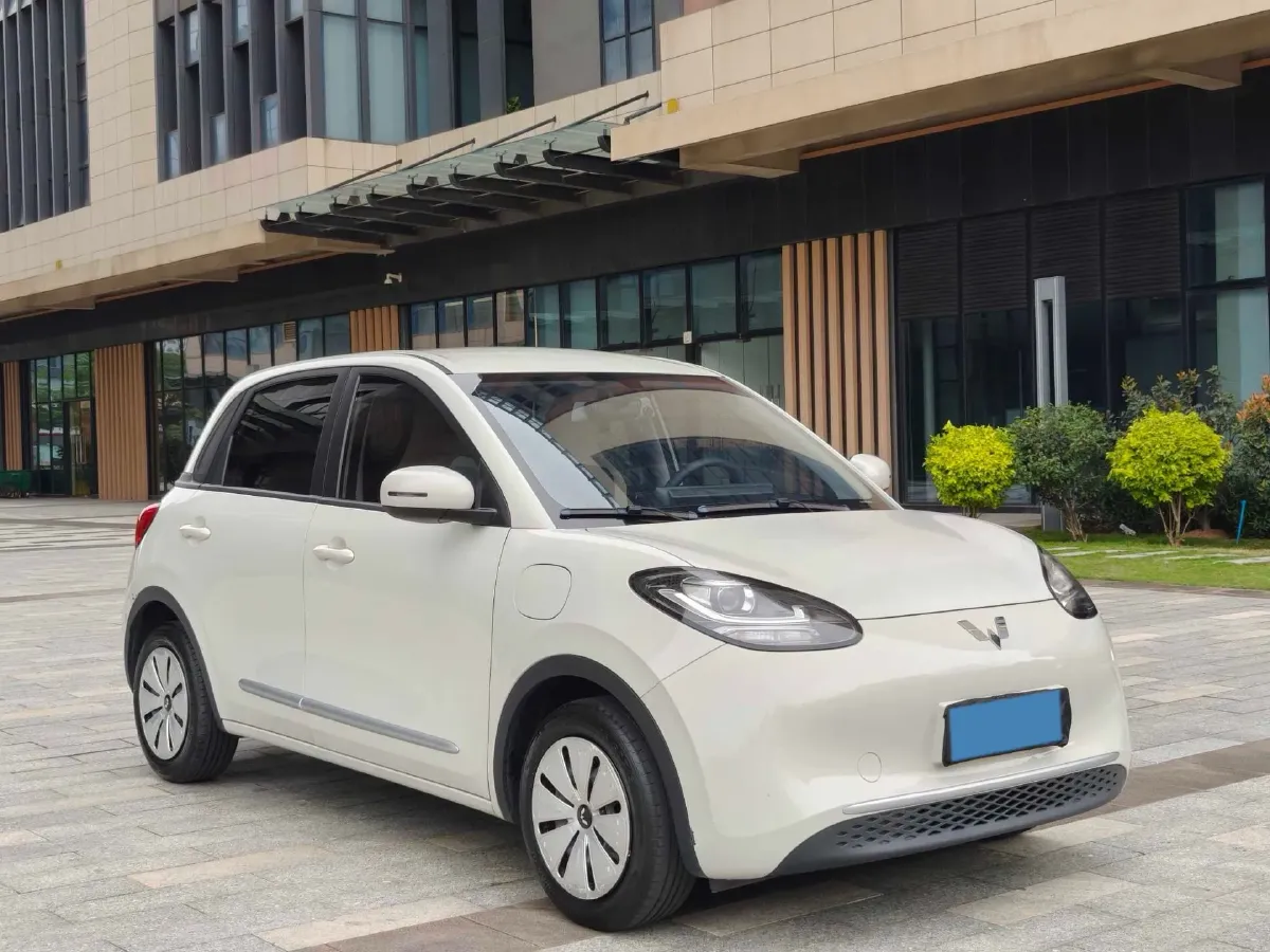 2023 WuLing BinGuo BEV 17.3KWH,autocango,china used car exporter,china ev exporter,chinese used car exporter,chinese used ev exporter