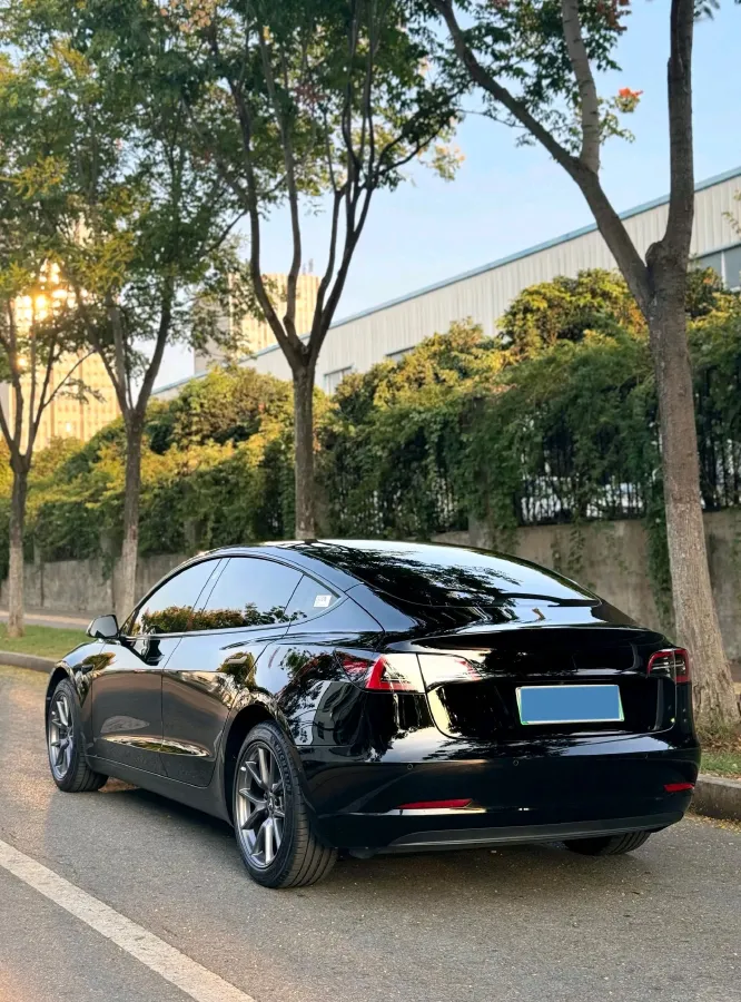 2021 Tesla Model 3 BEV 55KWH,autocango,china used car exporter,china ev exporter,chinese used car exporter,chinese used ev exporter