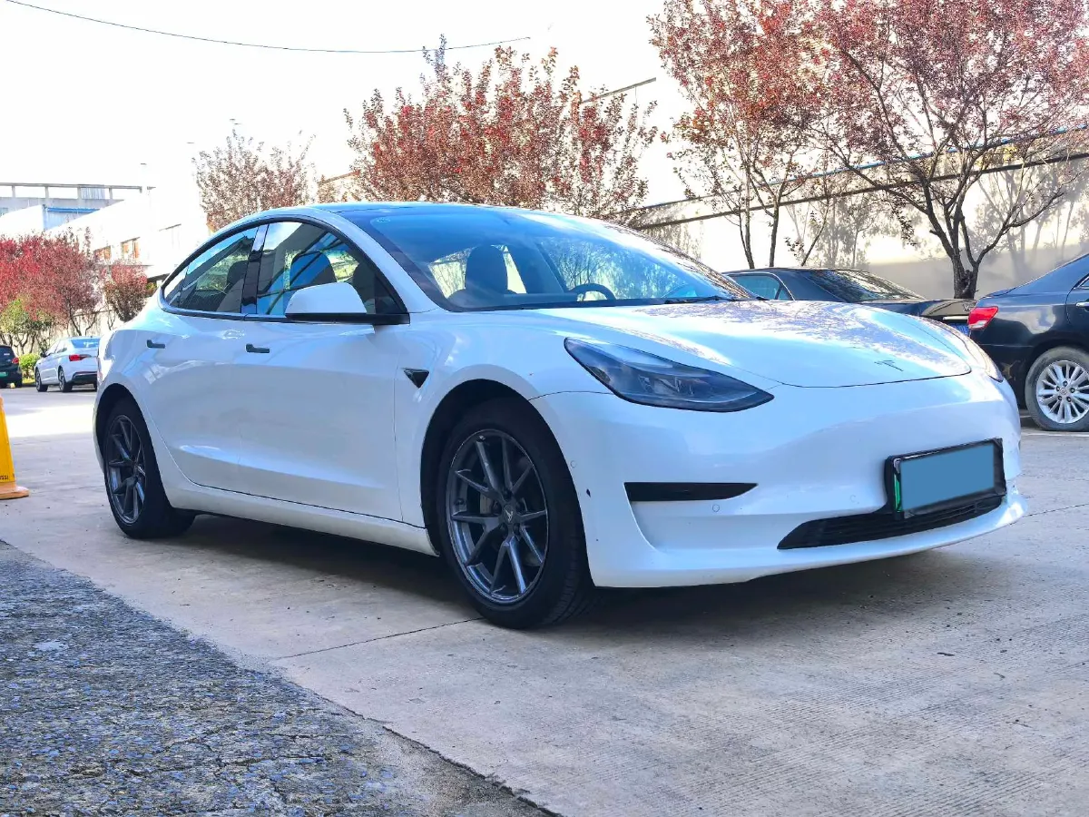 2021 Tesla Model 3 BEV 55KWH,autocango,china used car exporter,china ev exporter,chinese used car exporter,chinese used ev exporter