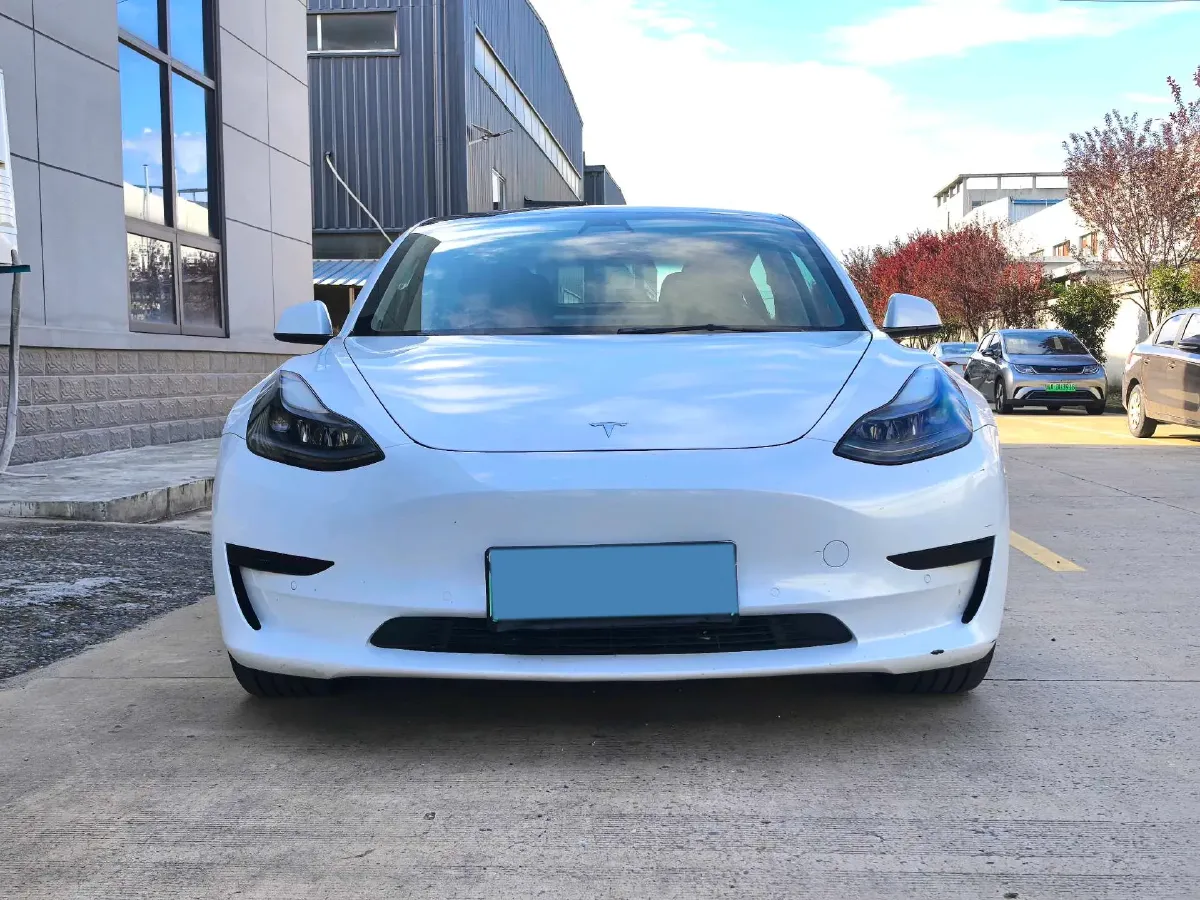 2021 Tesla Model 3 BEV 55KWH,autocango,china used car exporter,china ev exporter,chinese used car exporter,chinese used ev exporter