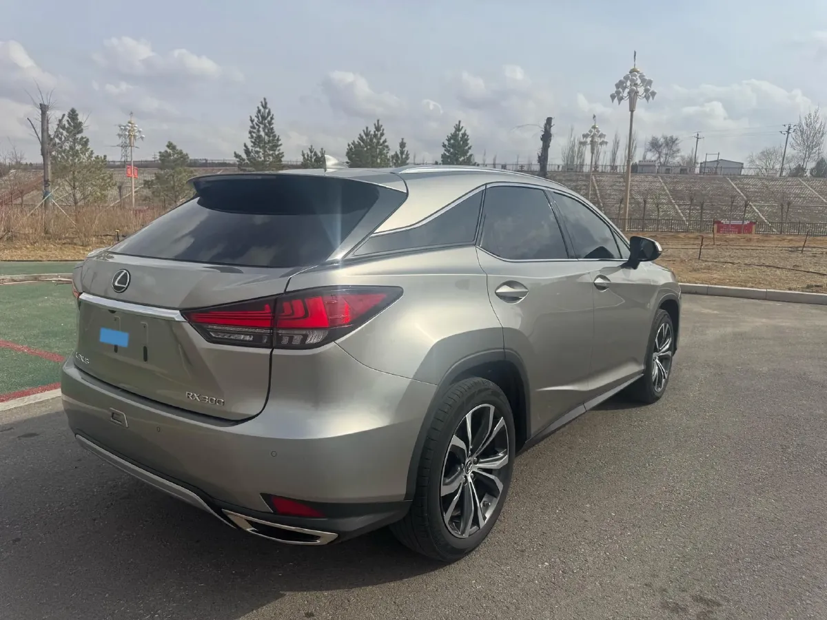 2020 Lexus RX 2.0T 231HP L4 6AT,autocango,china used car exporter,china ev exporter,chinese used car exporter,chinese used ev exporter