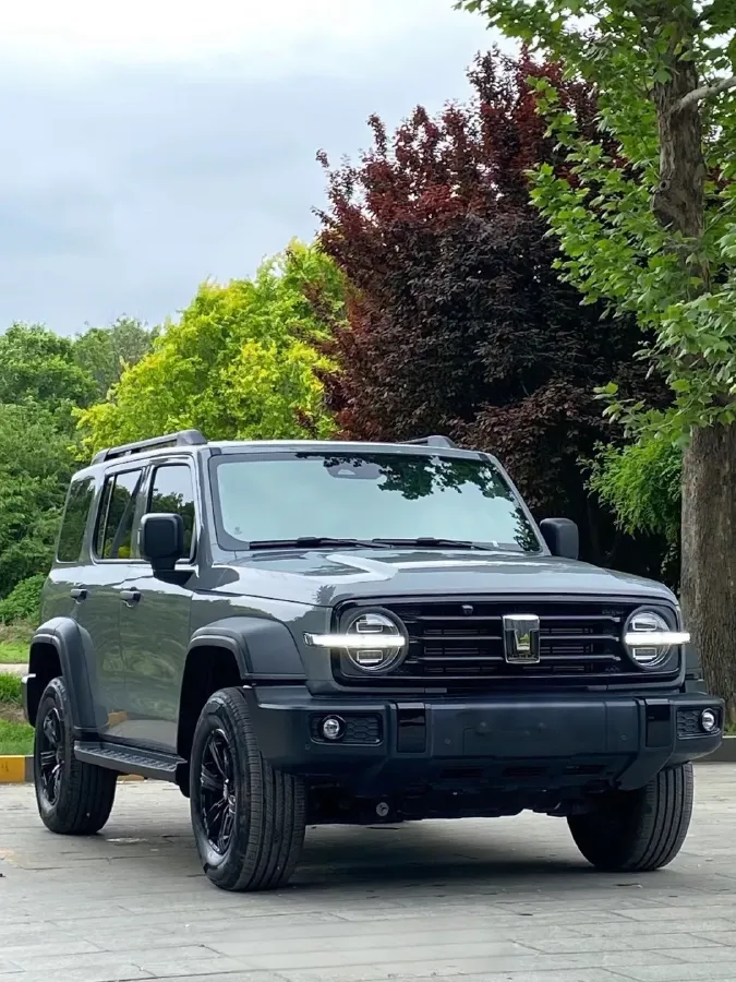 2024 Tank 300 2.0T 227HP L4 8AT,autocango,china used car exporter,china ev exporter,chinese used car exporter,chinese used ev exporter