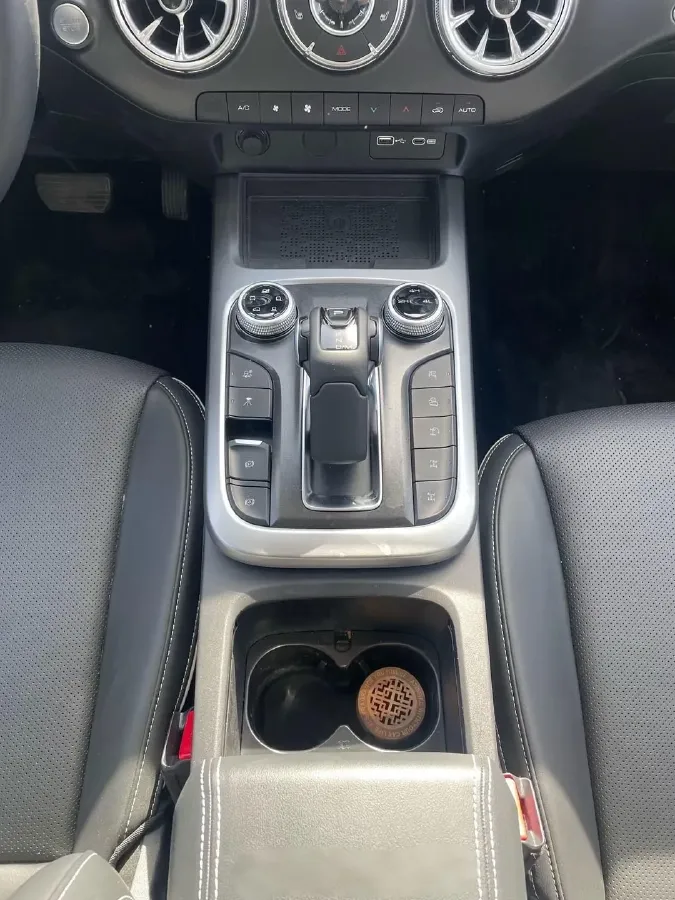 2024 Tank 300 2.0T 227HP L4 8AT,autocango,china used car exporter,china ev exporter,chinese used car exporter,chinese used ev exporter