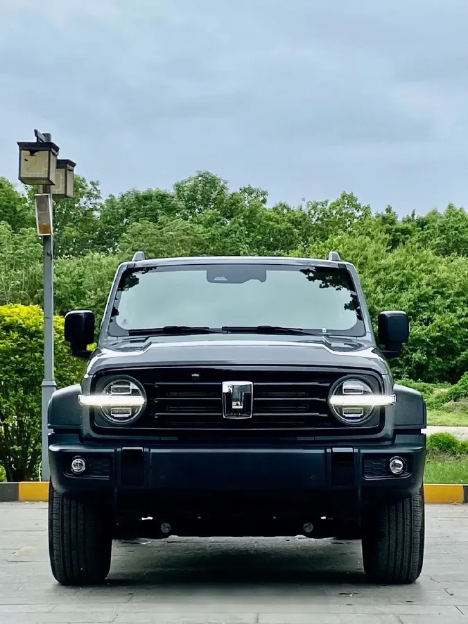 2024 Tank 300 2.0T 227HP L4 8AT,autocango,china used car exporter,china ev exporter,chinese used car exporter,chinese used ev exporter