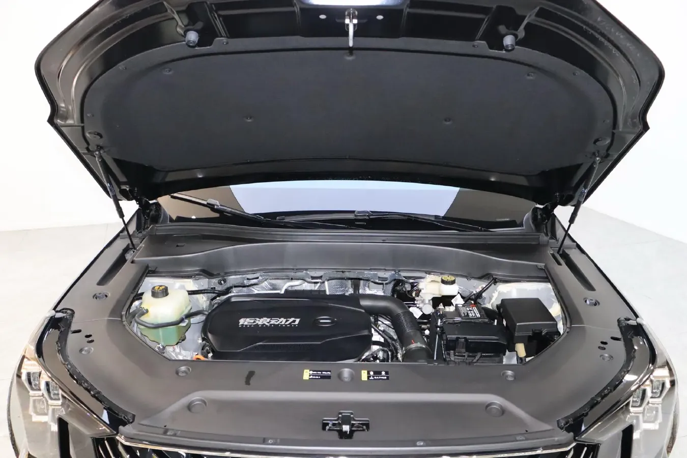 2025 GAC Trumpchi GS8 2.0T 252HP L4 8AT,autocango,china used car exporter,china ev exporter,chinese used car exporter,chinese used ev exporter