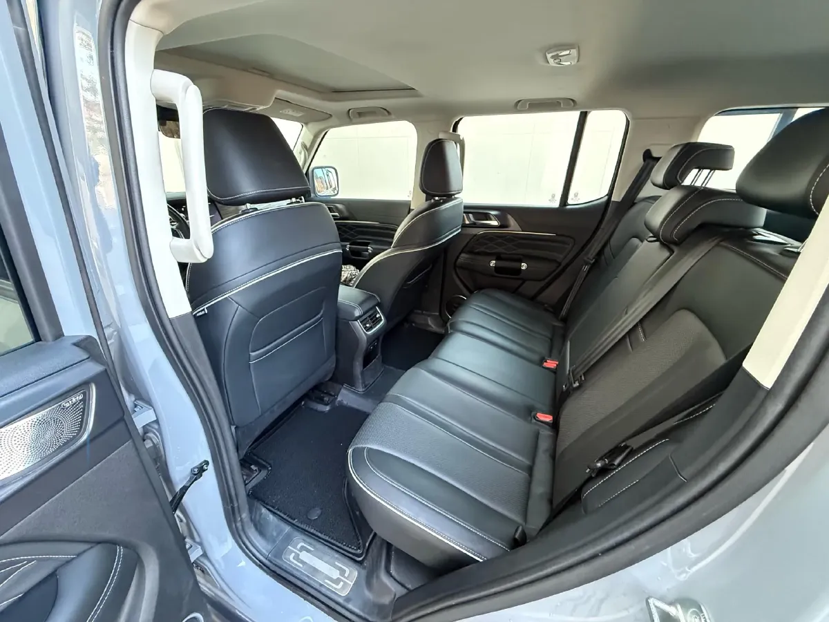 2023 Tank 300 2.0T 227HP L4 8AT,autocango,china used car exporter,china ev exporter,chinese used car exporter,chinese used ev exporter