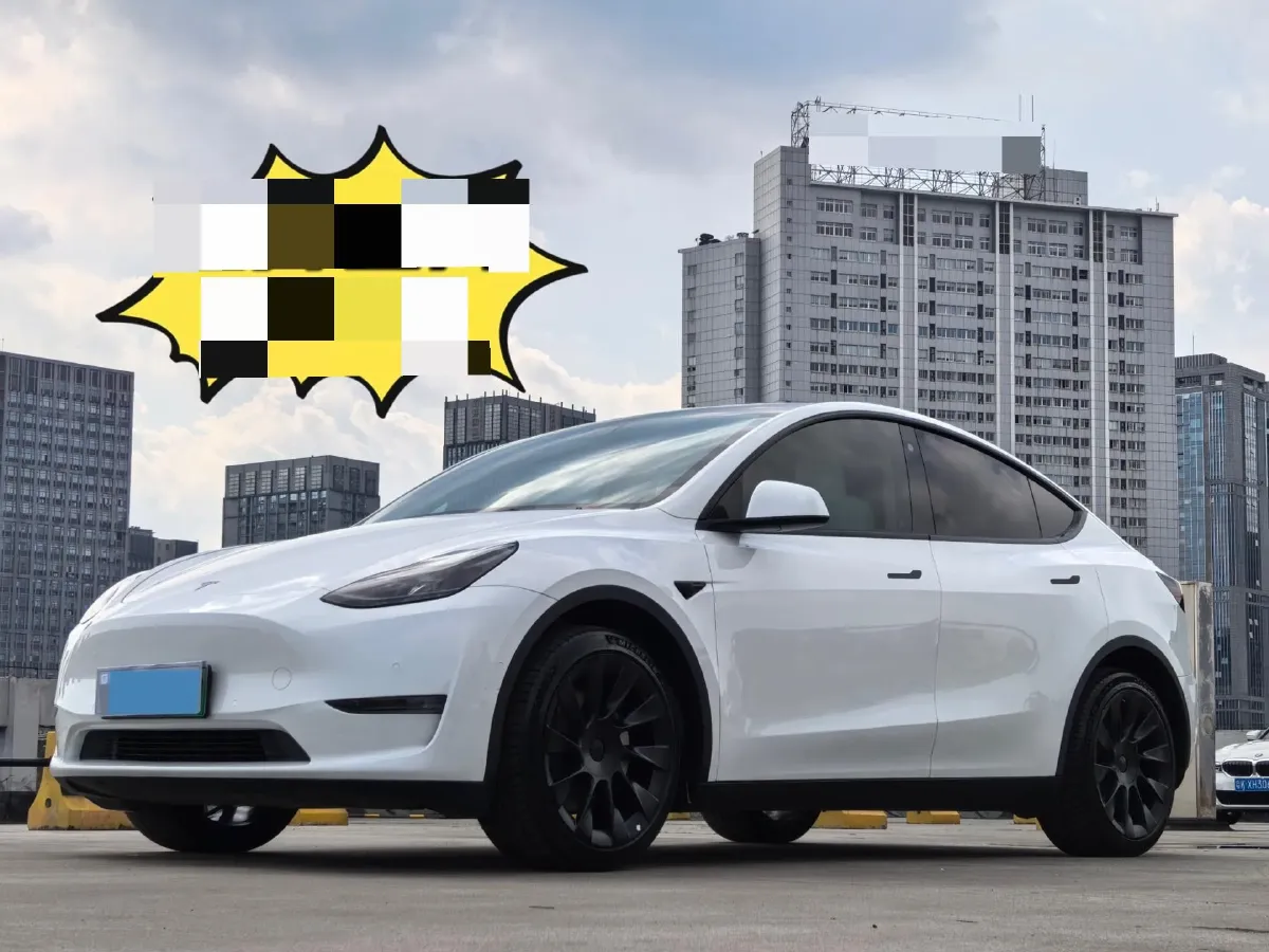 2021 Tesla Model 3 BEV 76.8KWH,autocango,china used car exporter,china ev exporter,chinese used car exporter,chinese used ev exporter