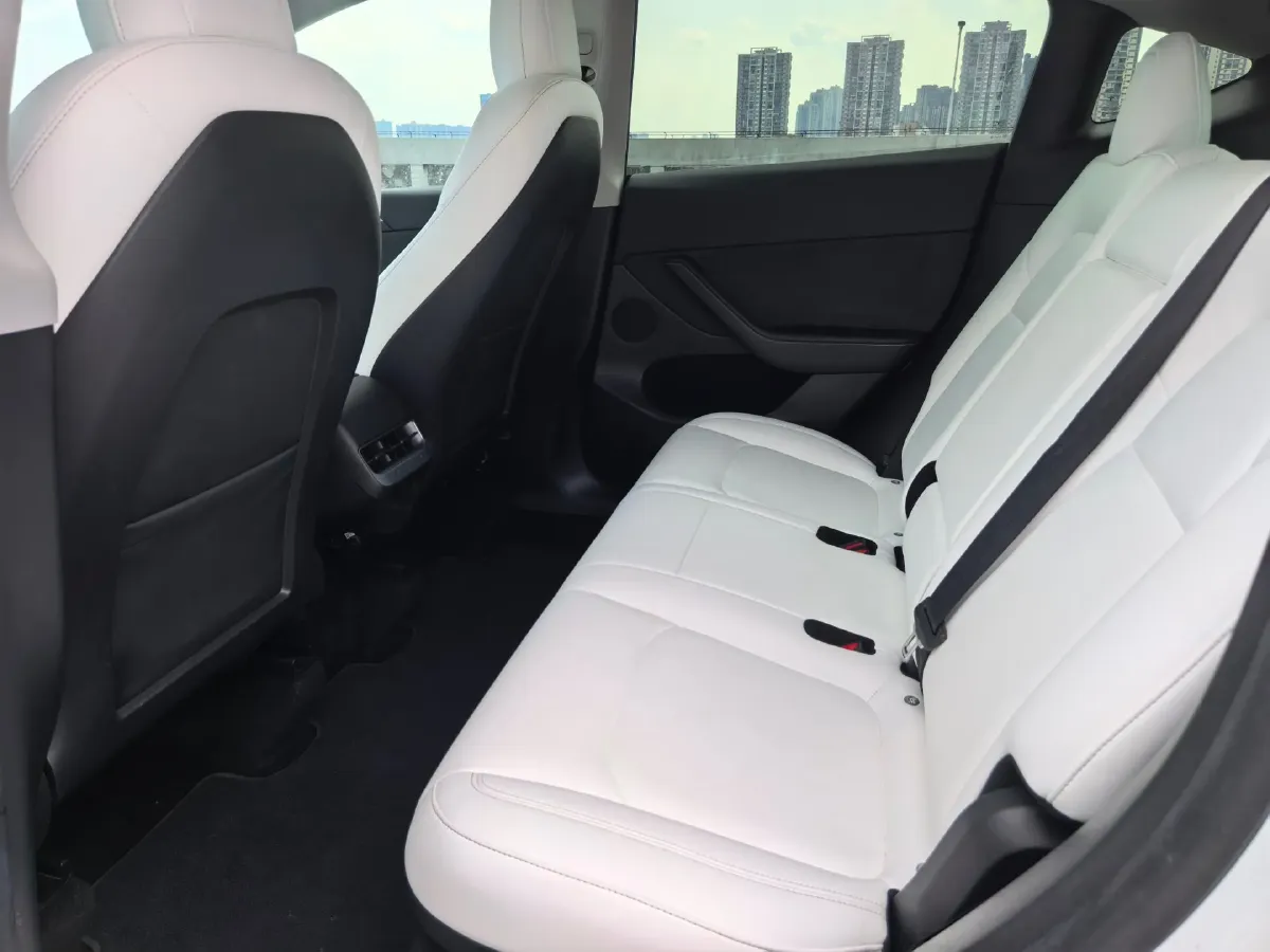 2021 Tesla Model 3 BEV 76.8KWH,autocango,china used car exporter,china ev exporter,chinese used car exporter,chinese used ev exporter