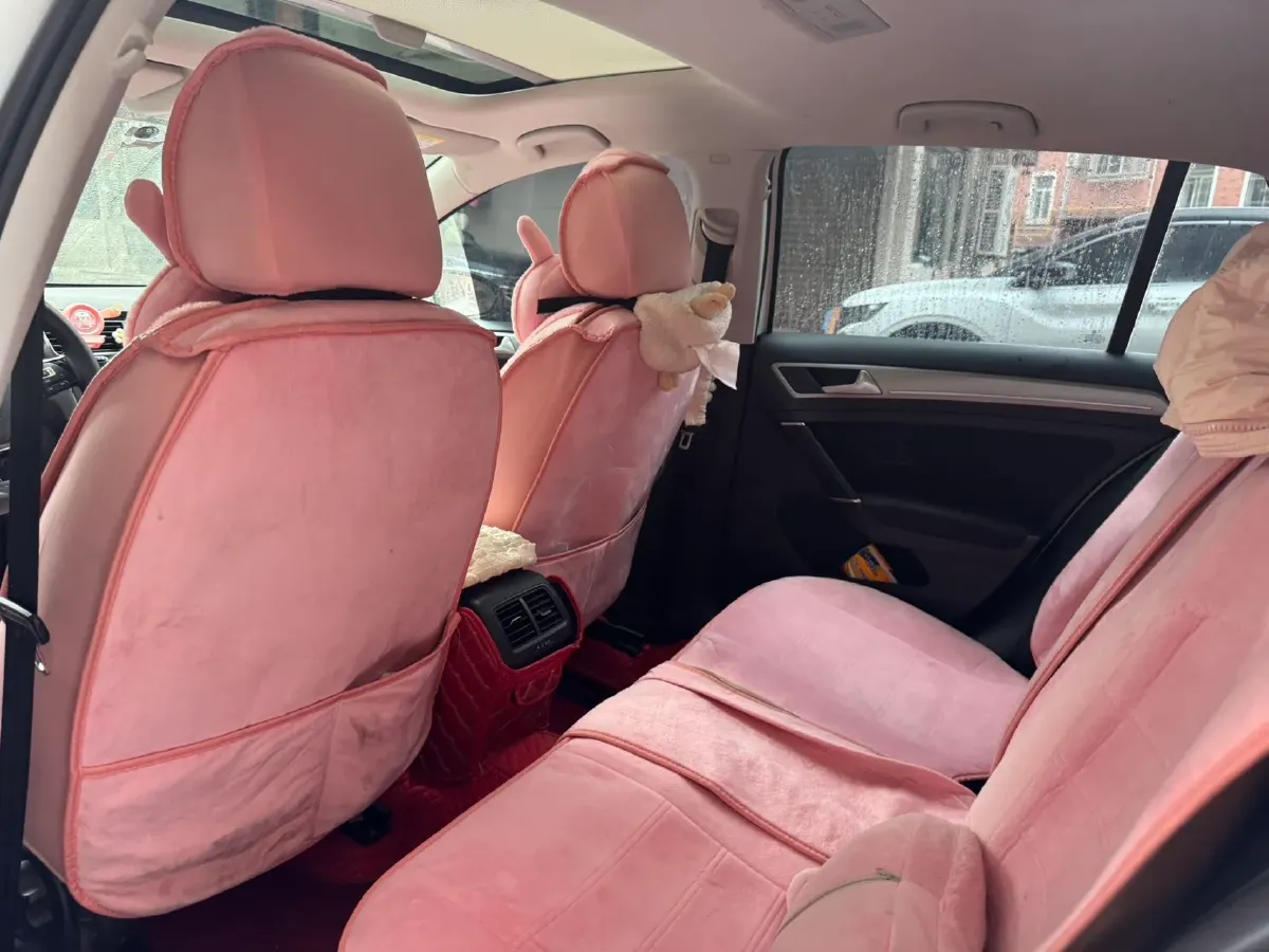 2019 Volkswagen Golf 1.2T 116HP L4 7DCT,autocango,china used car exporter,china ev exporter,chinese used car exporter,chinese used ev exporter