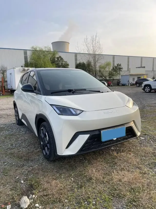 2025 BYD Seagull BEV 30.08KWH,autocango,china used car exporter,china ev exporter,chinese used car exporter,chinese used ev exporter