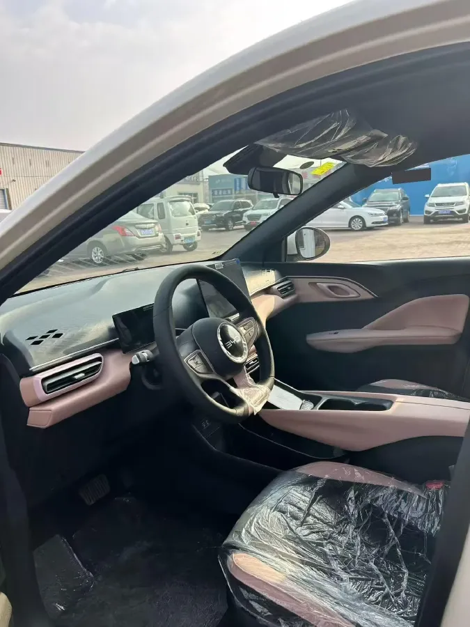 2025 BYD Seagull BEV 30.08KWH,autocango,china used car exporter,china ev exporter,chinese used car exporter,chinese used ev exporter