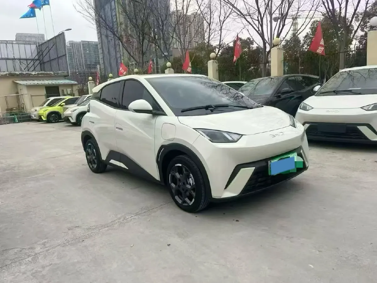 2025 BYD Seagull BEV 30.08KWH,autocango,china used car exporter,china ev exporter,chinese used car exporter,chinese used ev exporter