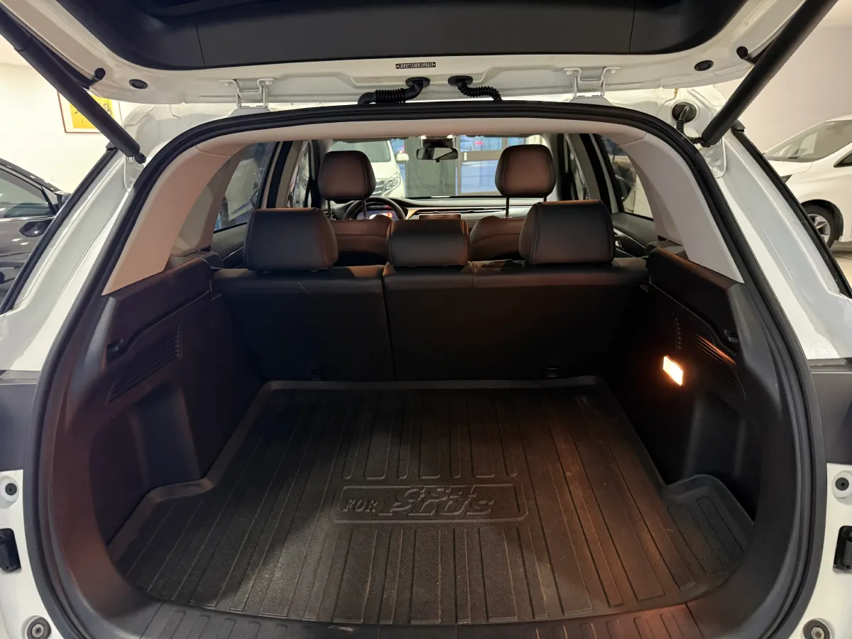 2022 GAC Trumpchi GS4 Plus 1.5T 169HP L4 6AT,autocango,china used car exporter,china ev exporter,chinese used car exporter,chinese used ev exporter