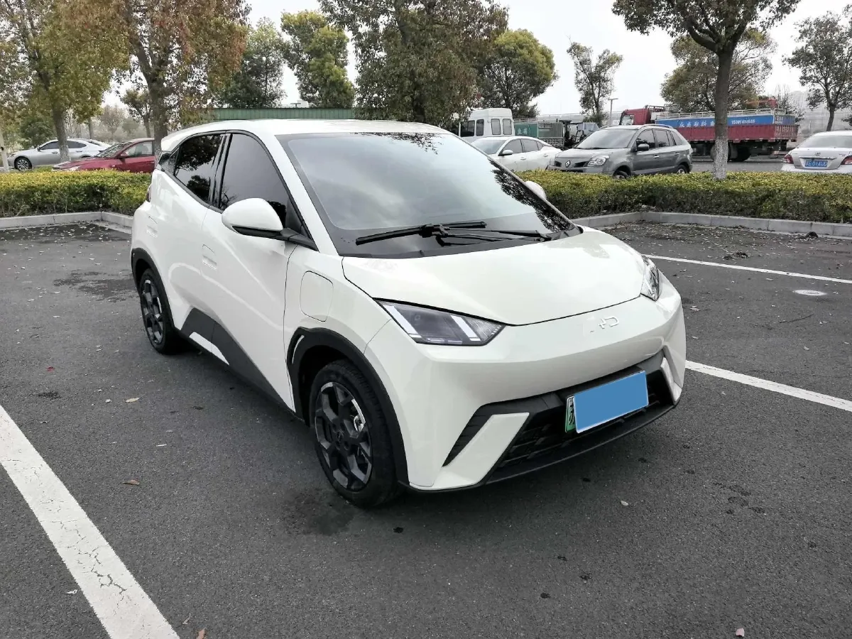 2025 BYD Seagull BEV 30.08KWH,autocango,china used car exporter,china ev exporter,chinese used car exporter,chinese used ev exporter