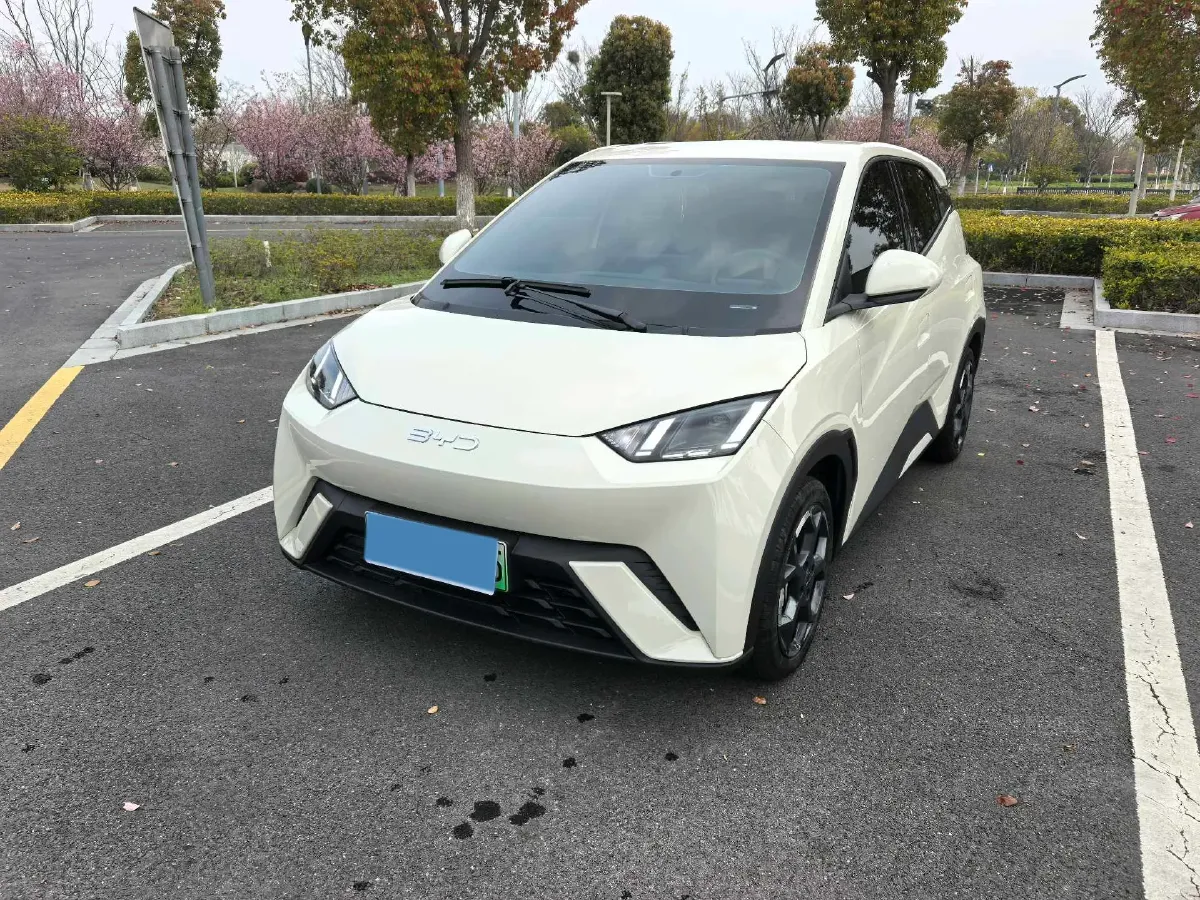 2025 BYD Seagull BEV 30.08KWH,autocango,china used car exporter,china ev exporter,chinese used car exporter,chinese used ev exporter