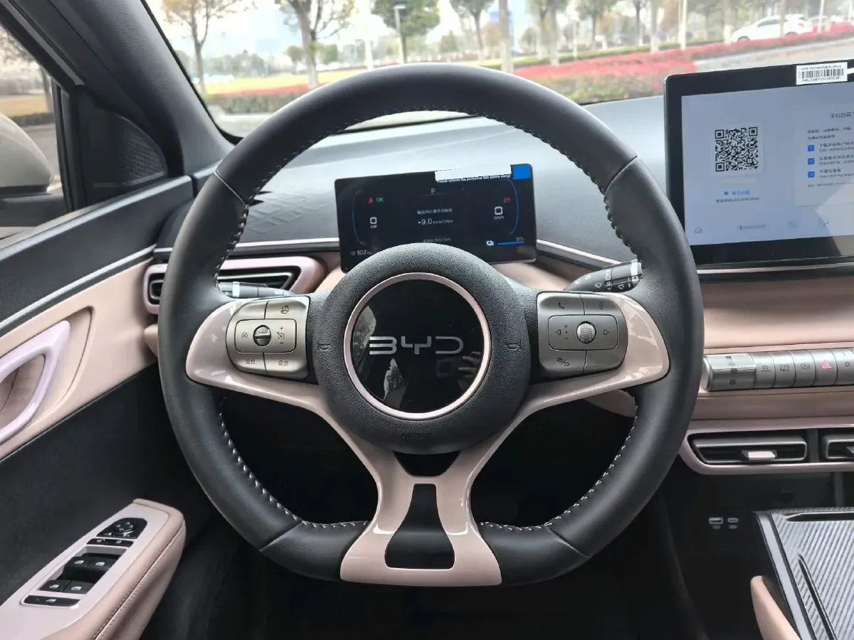 2025 BYD Seagull BEV 30.08KWH,autocango,china used car exporter,china ev exporter,chinese used car exporter,chinese used ev exporter