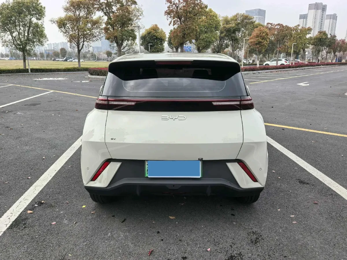 2025 BYD Seagull BEV 30.08KWH,autocango,china used car exporter,china ev exporter,chinese used car exporter,chinese used ev exporter