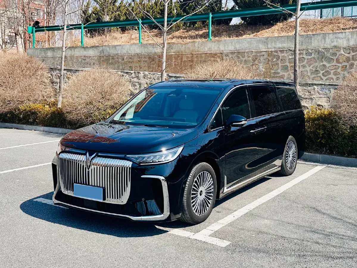 2025 Voyah Dream 1.5T 150HP L4 PHEV 41.7KWH,autocango,china used car exporter,china ev exporter,chinese used car exporter,chinese used ev exporter