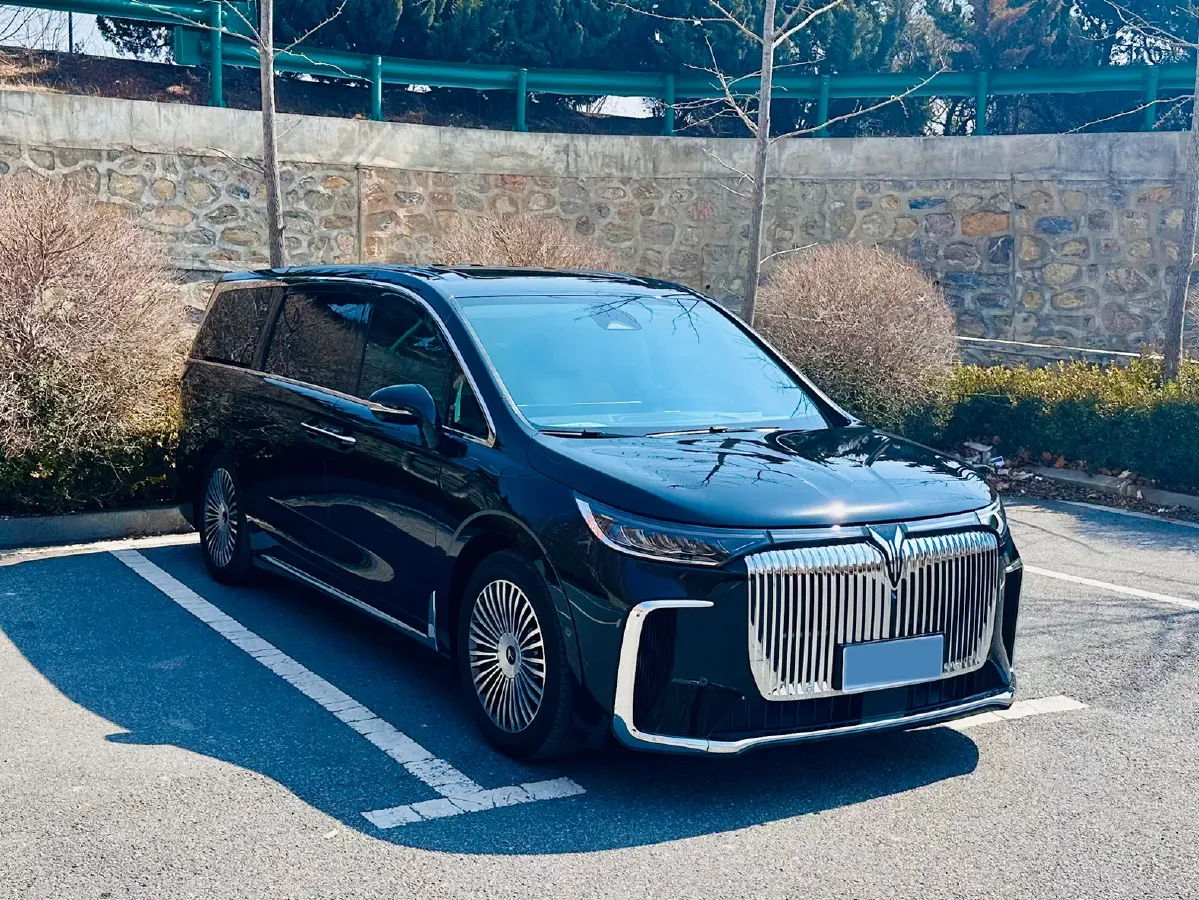2025 Voyah Dream 1.5T 150HP L4 PHEV 41.7KWH,autocango,china used car exporter,china ev exporter,chinese used car exporter,chinese used ev exporter
