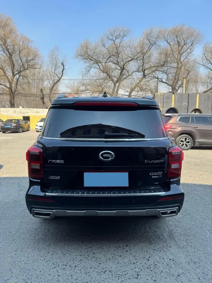 2020 GAC Trumpchi GS8 2.0T 252HP L4 6AT,autocango,china used car exporter,china ev exporter,chinese used car exporter,chinese used ev exporter